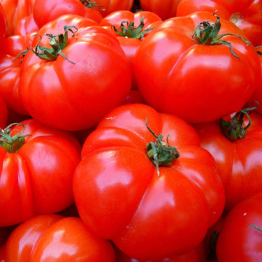 Red Brandywine Tomato Seeds - The Pepper Pantry (Formerly Marie Sharp's)